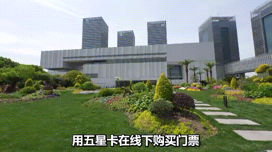 DM_20250612100804_008.GIF